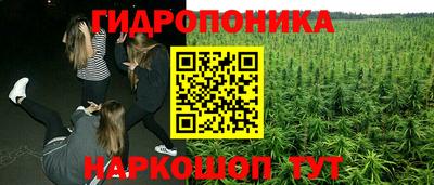 spice Краснознаменск